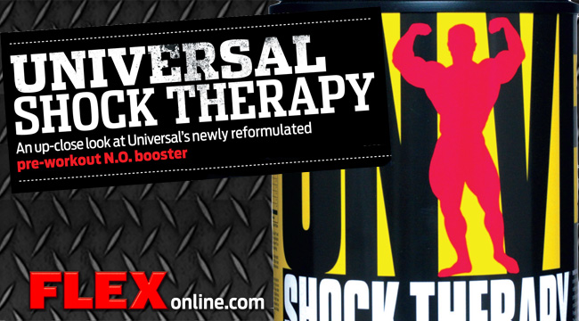 Universal Nutrition - Shock Therapy