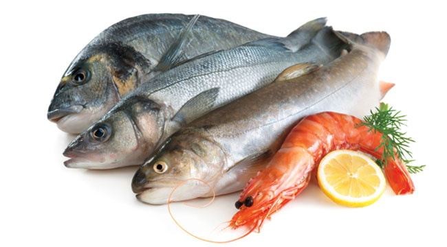 best fish for bodybuilding