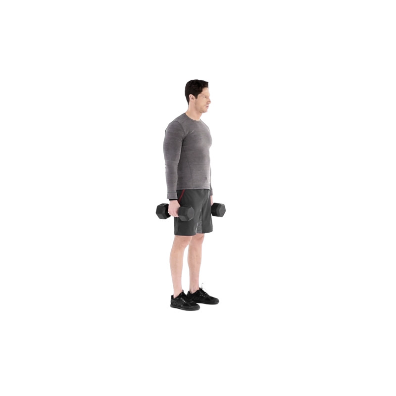 Dumbbell Lunge Exercise Video Guide | Muscle & Fitness