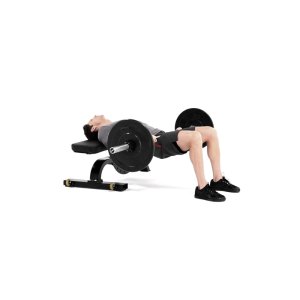 hip lifts with weights