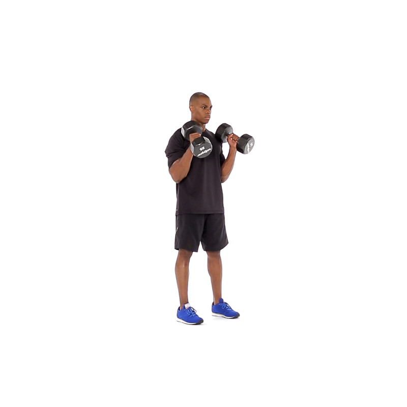 dumbbell hammer curl