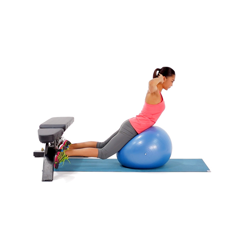 Klem Auroch sneeuw Exercise Ball Weighted Hyperextension Exercise Videos Guides |  clube.zeros.eco