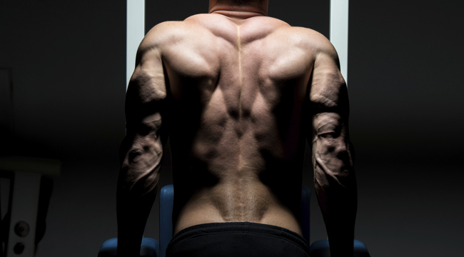 The Ultimate Program for Body Comp Improvement