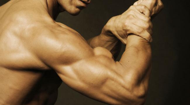 best tricep and bicep workout