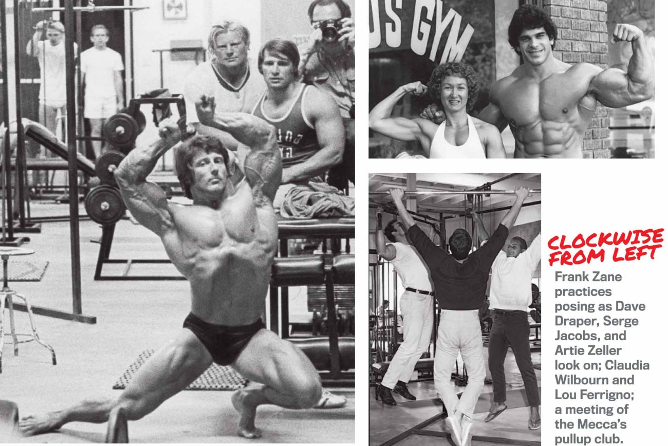 vintage golds gym