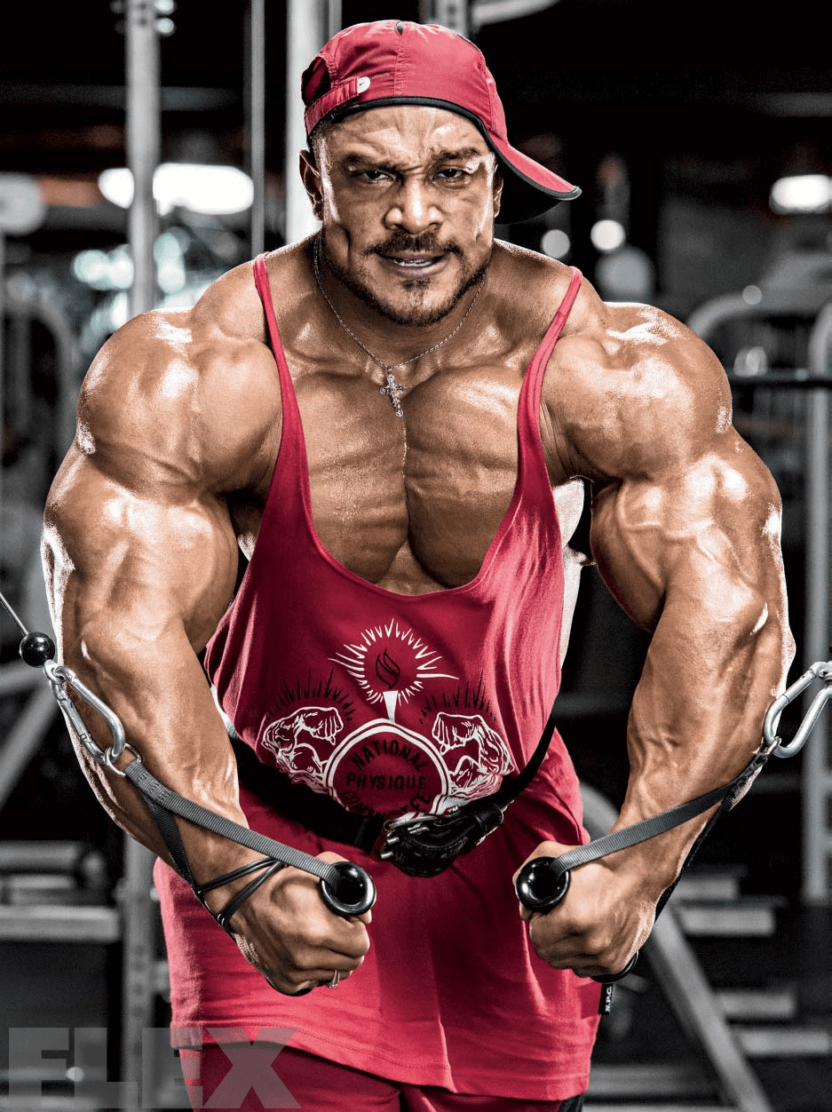 roelly-cable-flyes