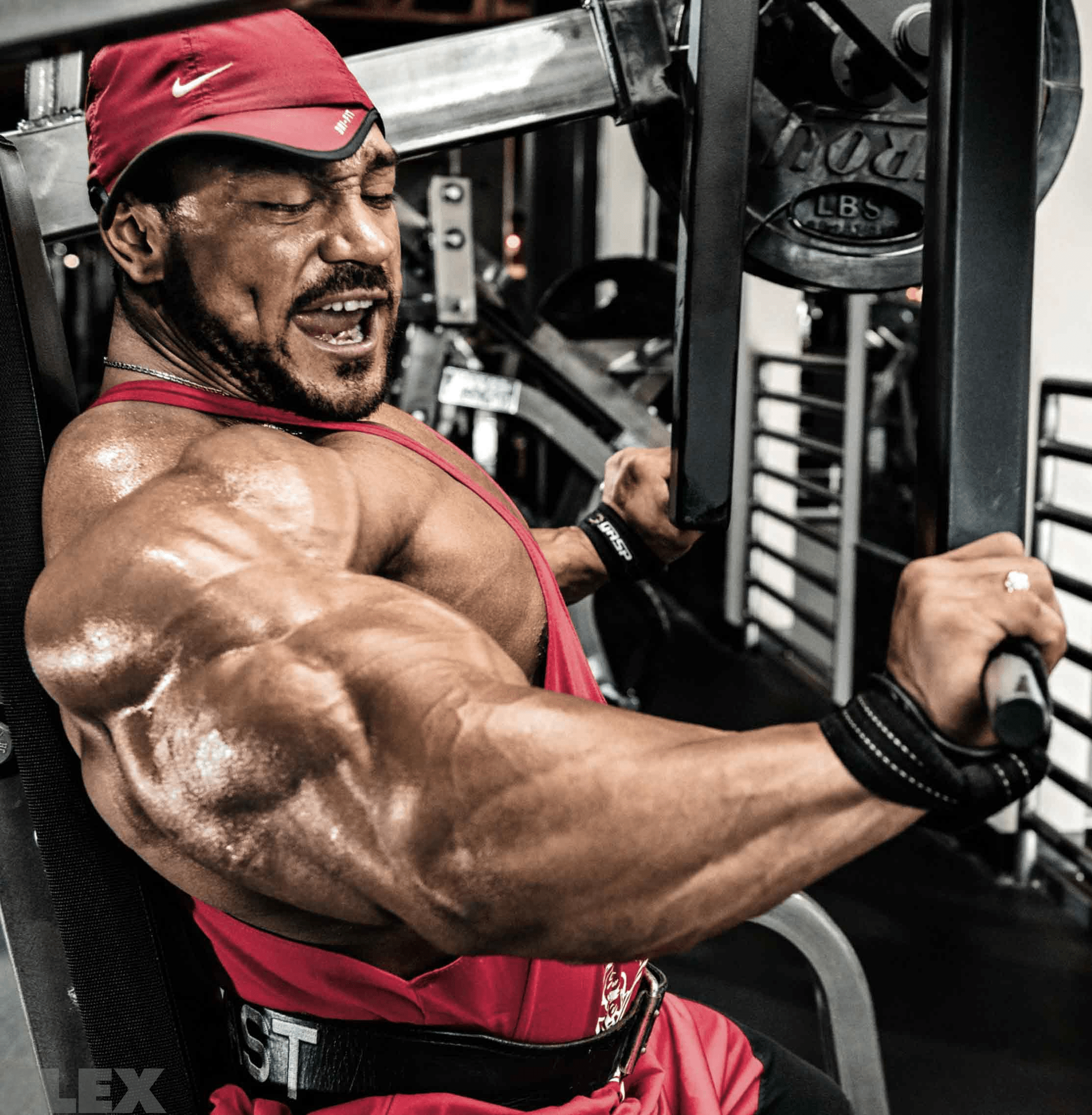 roelly-chest-press3