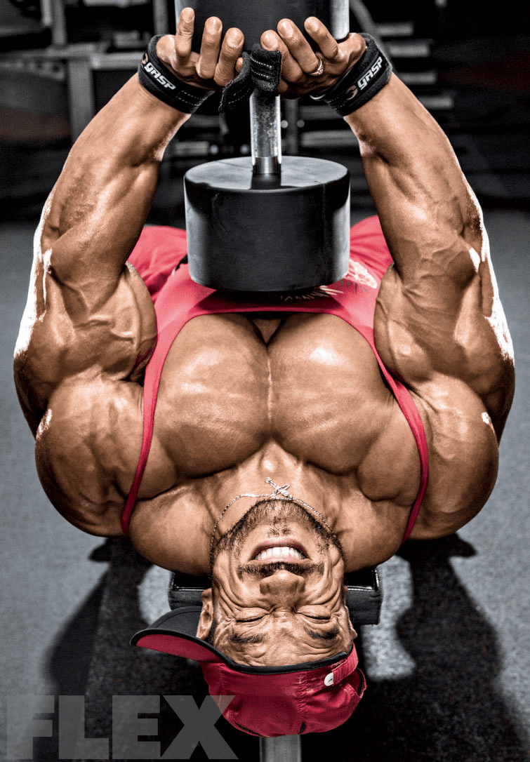 roelly-overhead-press