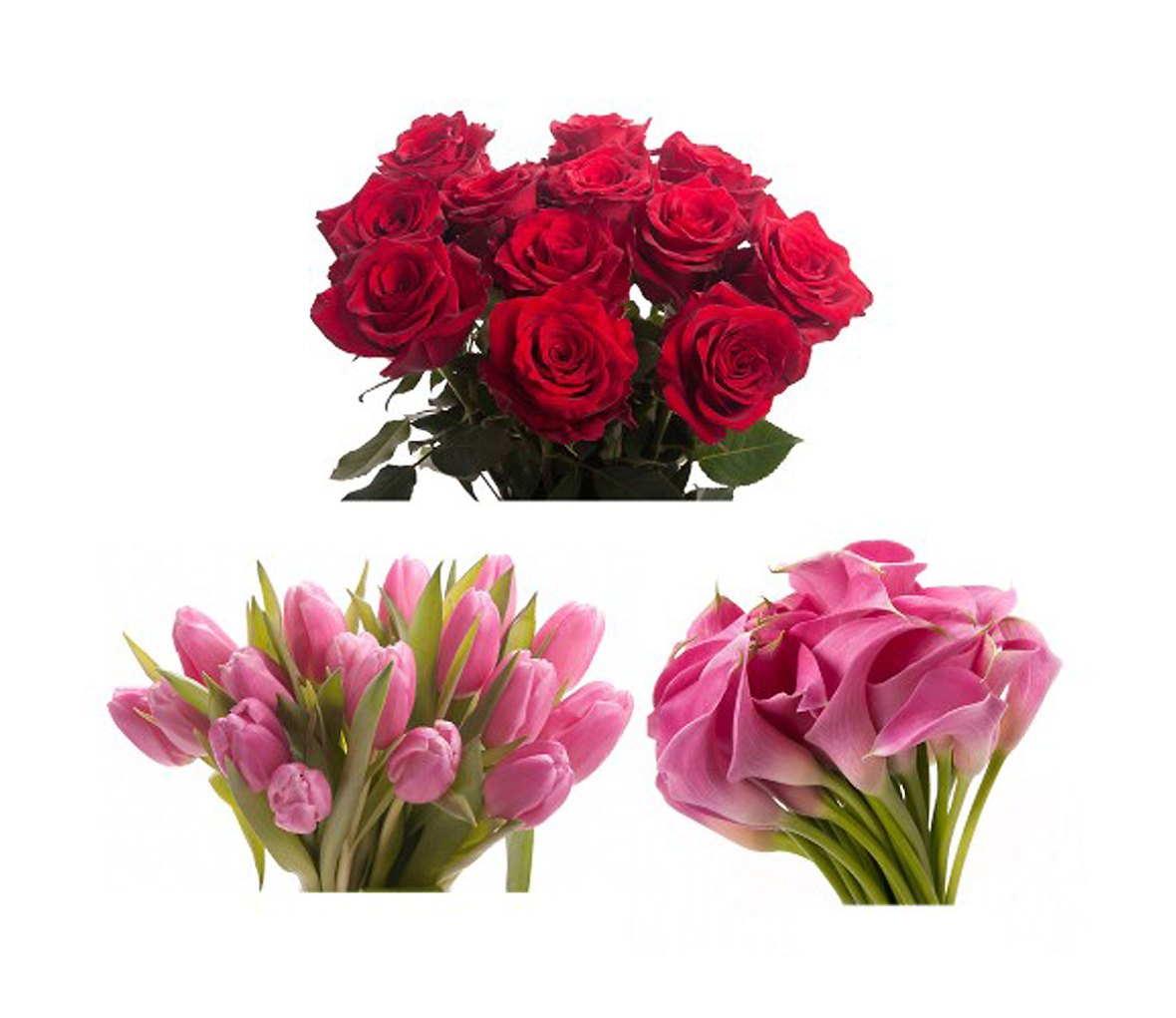 https://www.muscleandfitness.com/wp-content/uploads/2016/01/valentines_day_flowers_main.jpg?w=1180&quality=86&strip=all