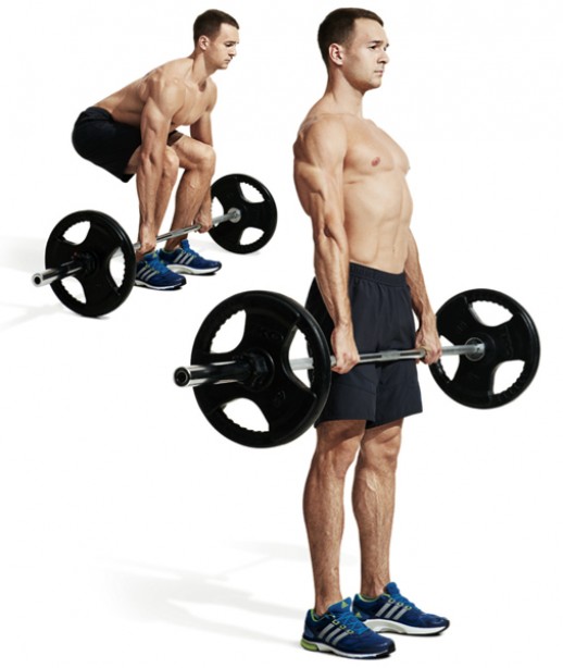 The 15 Most Important Exercises For Men - Muscle & Fitness