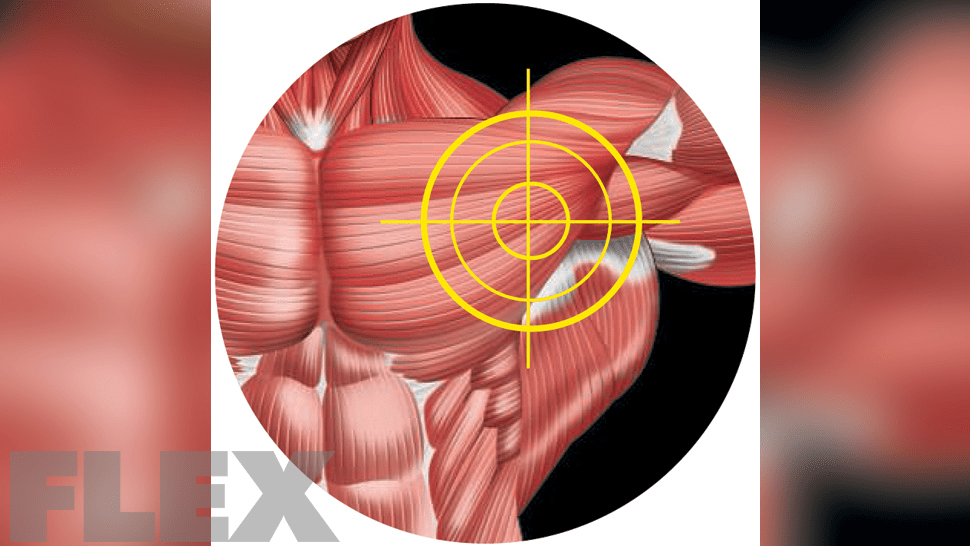 Wide Chest Workout - Muscle & Fitness