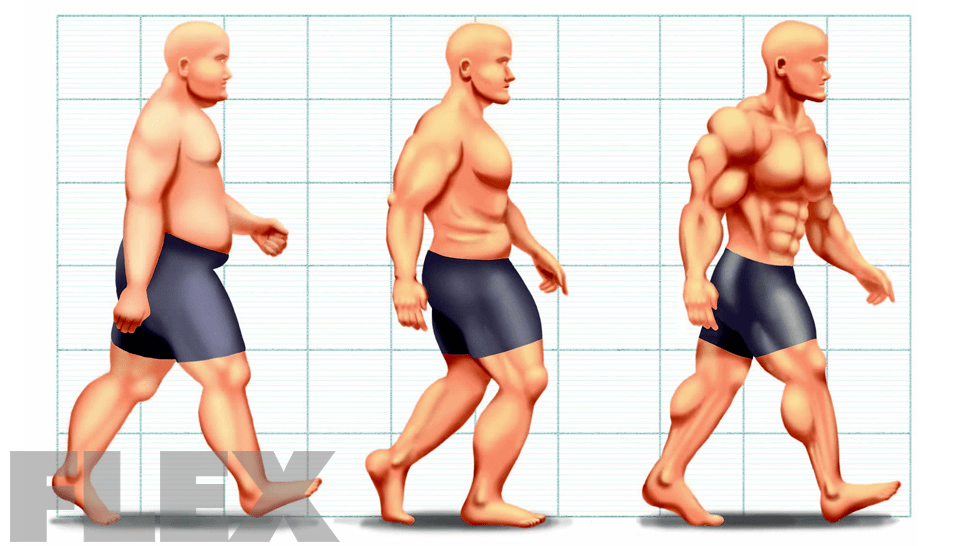 Evolution of Fat Loss - Muscle & Fitness