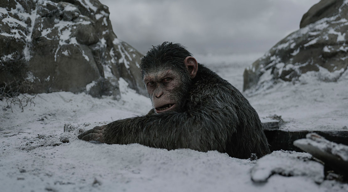 Watch The New Trailer for 'War for the of the Apes' Pits Andy