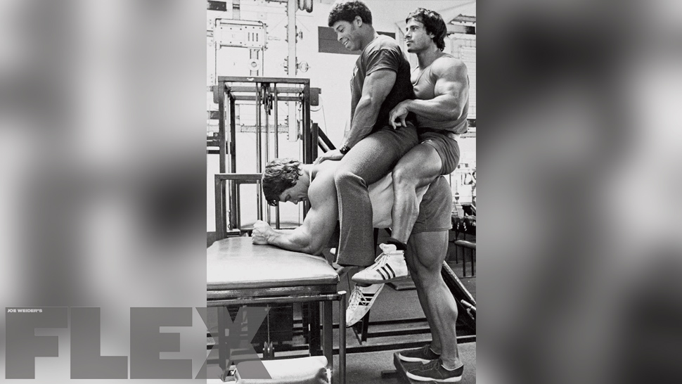 Arnold donkey calf raise