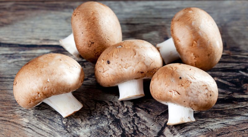 5 Types of Mushrooms and Their Health Benefits | Muscle & Fitness