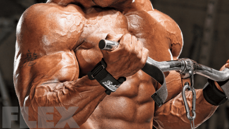 Natural BodyBuilding 101: Everything the Layperson Needs to Know - AN