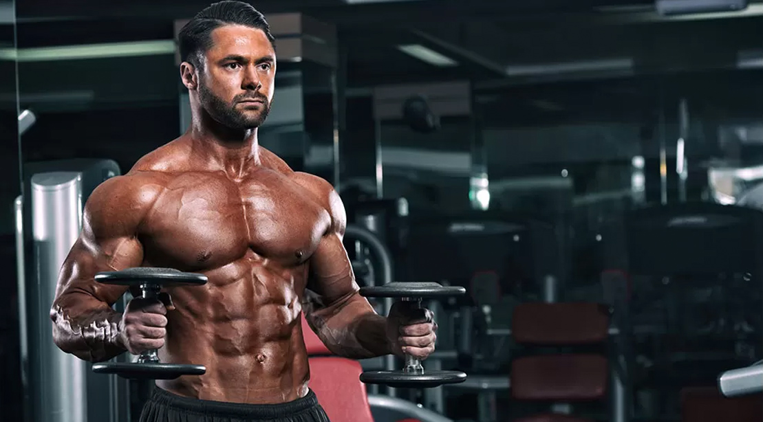 Muscle building workout routines