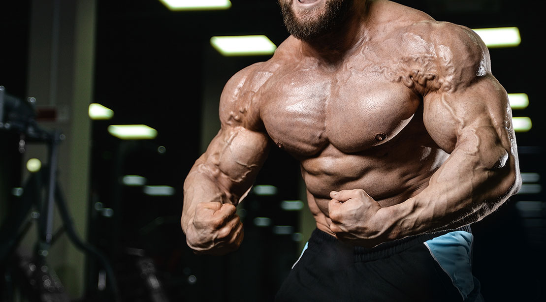 11 Muscles to Work to Make Yourself Look Big