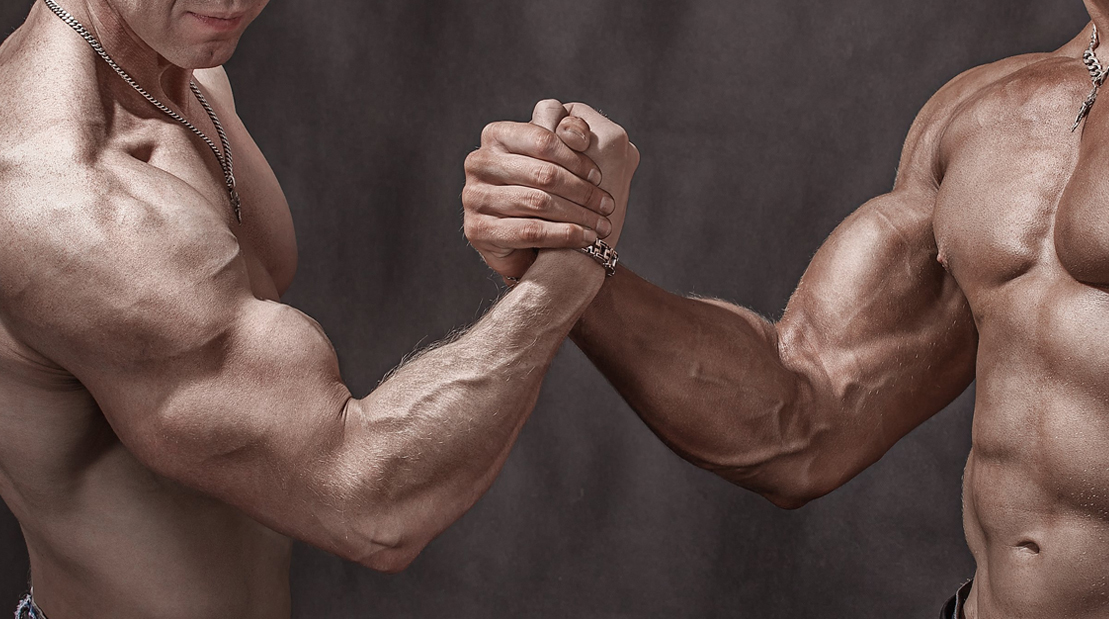 10 Best Exercises for Massive Forearms You Should Try Today - Muscles targeted by the exercise