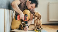 Man doing home improvements with his pet dog