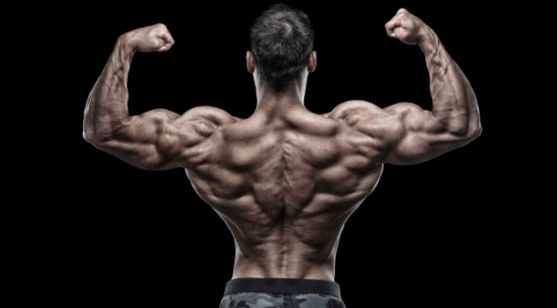 What are all the exercises necessary for a complete back workout