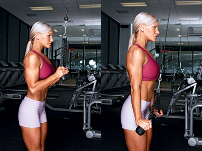 Get Strong, Sculpted Arms - Muscle & Fitness