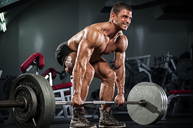 The Deadlift Step By Step For Optimal Results Muscle Fitness